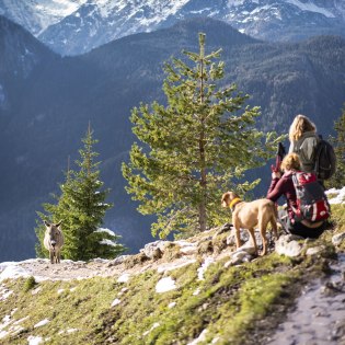 Esel Federico begrüßt seine Besucher auf der Brunnsteinhütte über Mittenwald. Alpine aussichten im bayerischen Herbst., © Alpenwelt Karwendel | Dietmar Denger