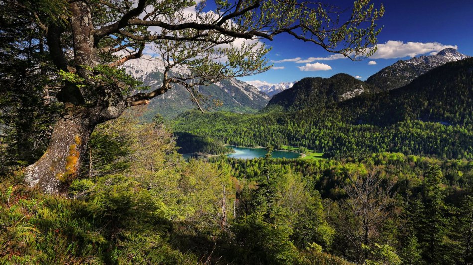 Bilck vom Kranzberg auf den Lautersee in Mittenwald, © Alpenwelt Karwendel | Rudolf Pohmann