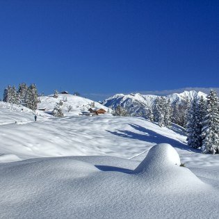Verschneite Landschaft am Mittenwalder Kranzberg, © Alpenwelt Karwendel | Hubert Hornsteiner