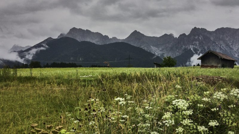 Trotz Regen ein wunderschöner Tag, © Andrea Obele | mein-wanderhund.de