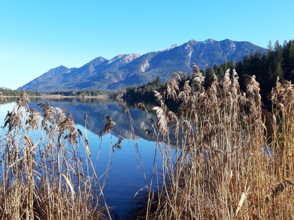 Am Barmsee