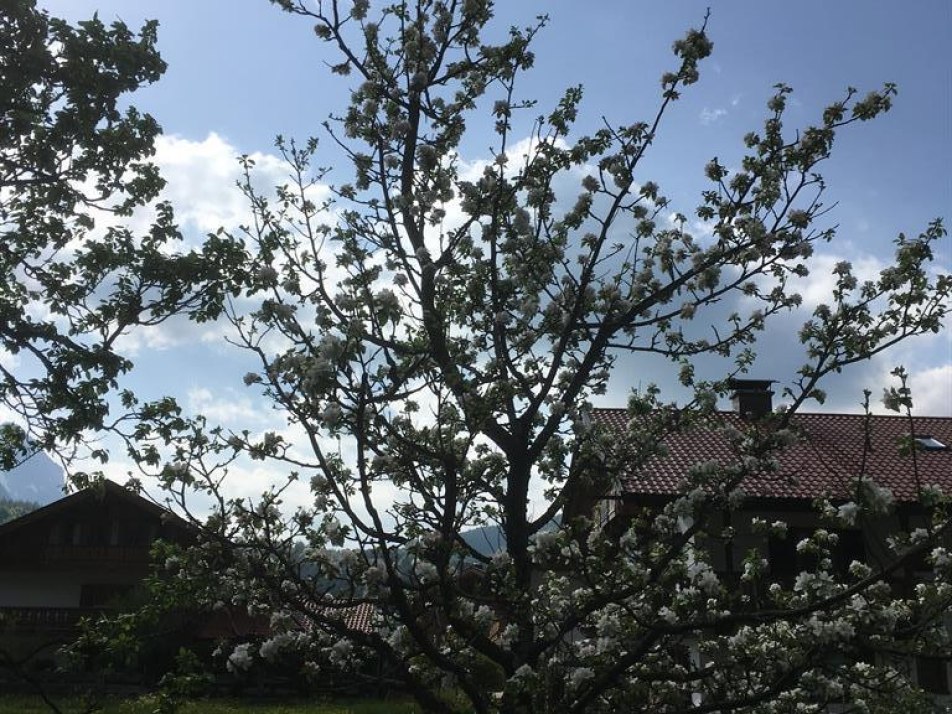 Ausblick