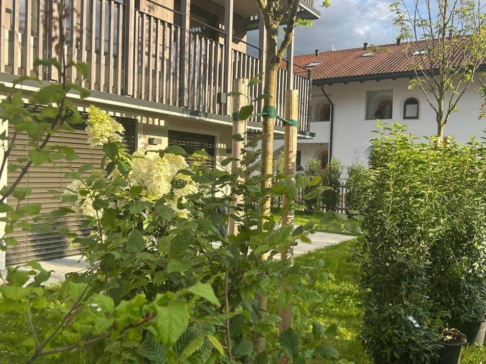 Terrace and garden Terrace and garden