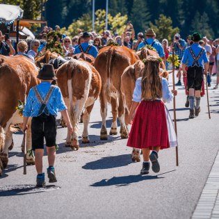 Dorffest mit Almabtrieb und Bauernmarkt in Krün 2023, ©  Alpenwelt Karwendel / Paul Wolf
