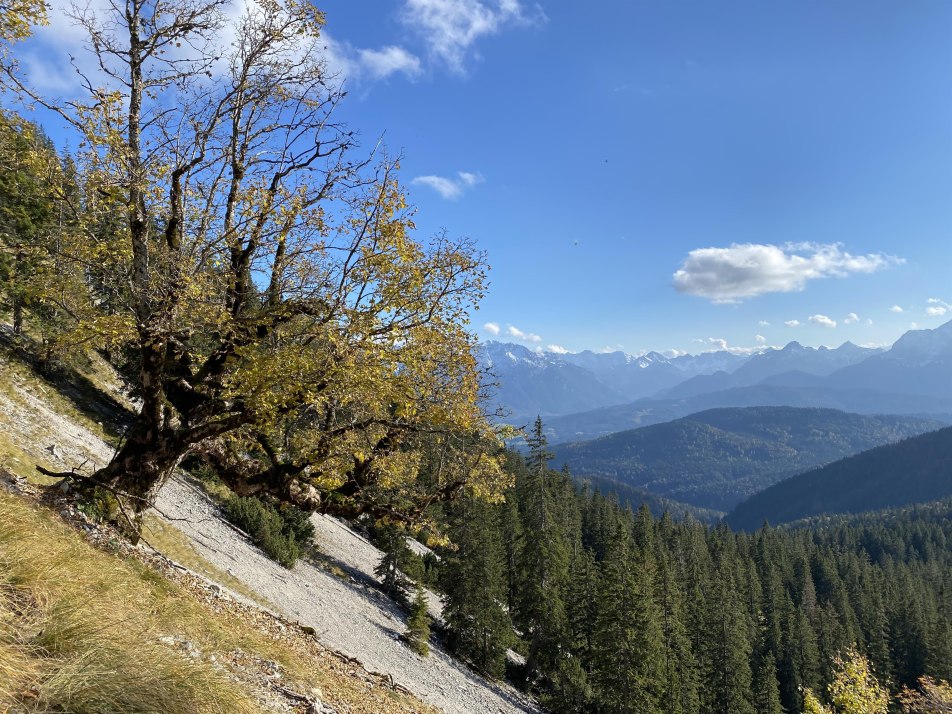 Herbst im Estergebirge