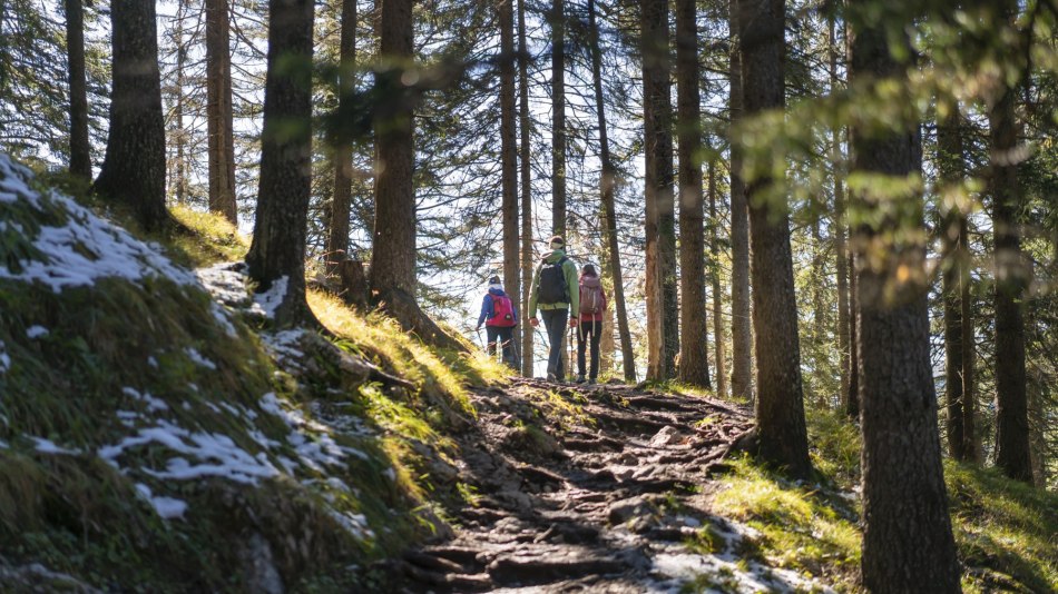Ob Waldsteig, Gipfelgrat oder flache Wege - in der Alpenwelt Karwendel ist für jeden Naturfan was dabei!, © Alpenwelt Karwendel | Dietmar Denger