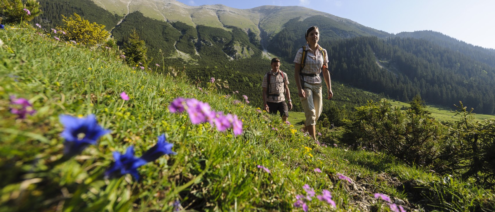 Wanderung zur Vereiner Alm, © Alpenwelt Karwendel | Wolfgang Ehn