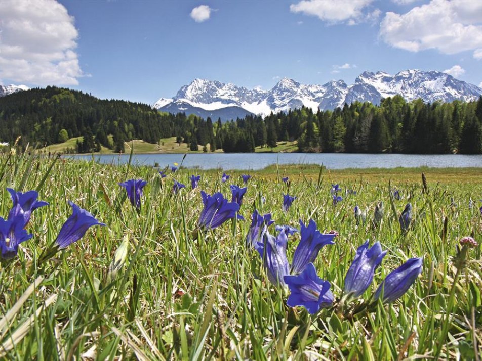 Urlaubsausblick Geroldsee Krün, © Franz-Paul Reindl