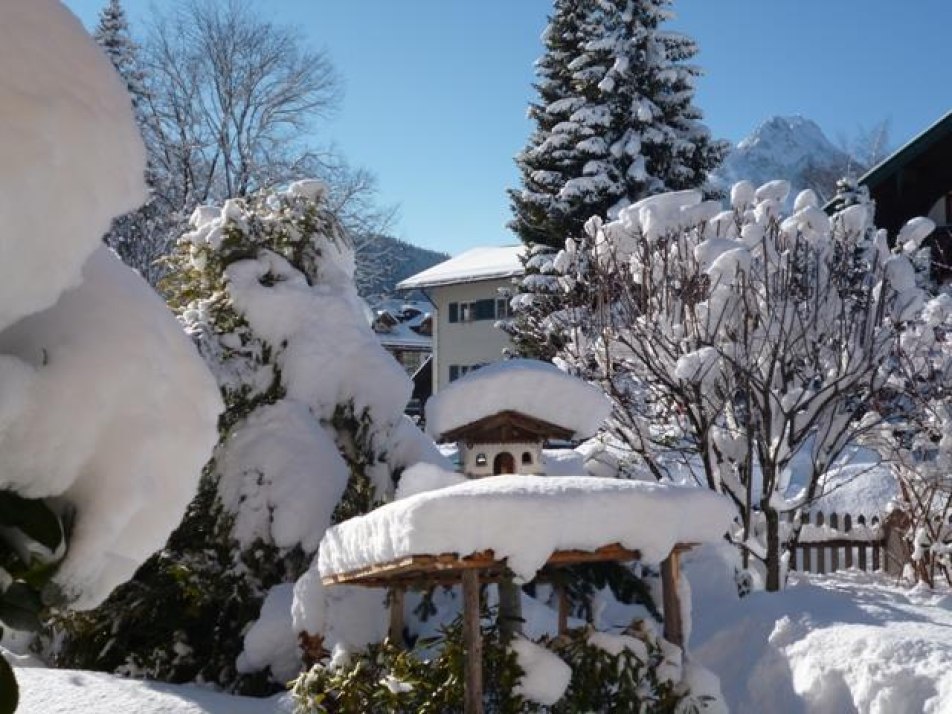 Garten im Winter