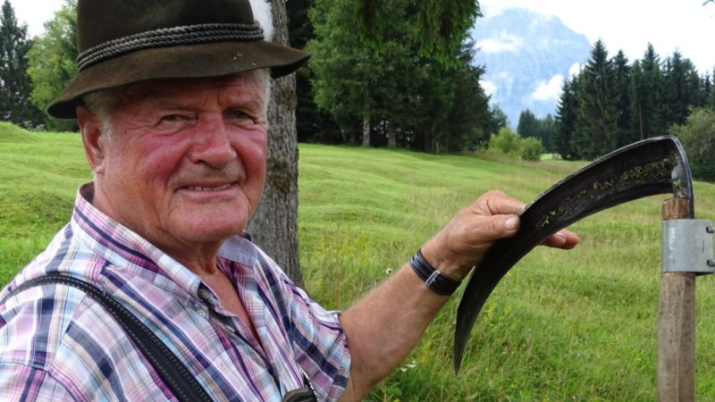 Manfred „Muggi“ Schmidt mäht seine Buckelwiese noch traditionell mit der Sense, © Alpenwelt Karwendel | Andrea Schmölzer Manfred „Muggi“ Schmidt mäht seine Buckelwiese noch traditionell mit der Sense, © Alpenwelt Karwendel | Andrea Schmölzer