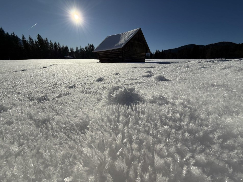 Umgebung: Wallgauer Wiesen Umgebung: Wallgauer Wiesen
