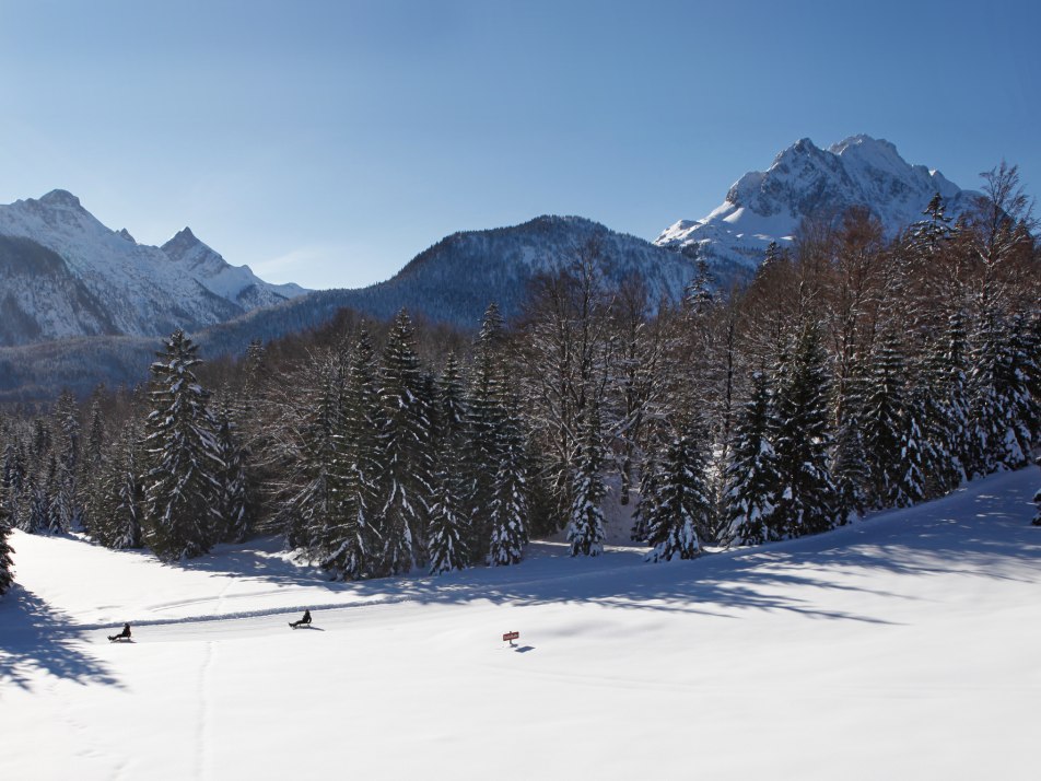 Naturrodelbahn Kranzberg, © Alpenwelt Karwendel | Rudolf Pohmann