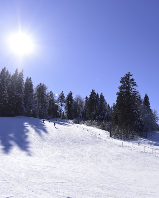 Ideal für Kinder und Anfänger - der Barmseelift bei Krün, © Alpenwelt Karwendel | Stefan Eisend