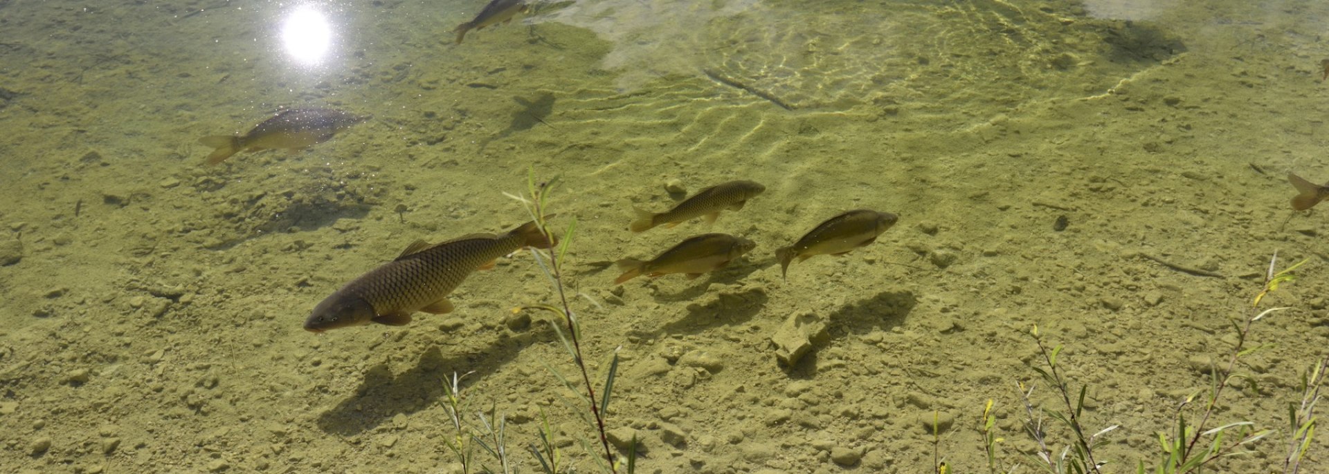 Der Lautersee bei Mittenwald ist ein Paradies für Angler, © Alpenwelt Karwendel | Stefan Eisend