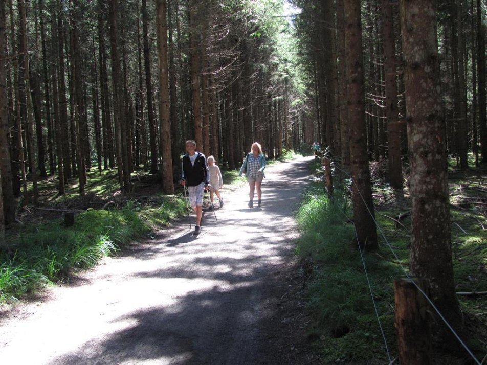 Rundwanderweg um den Barmsee