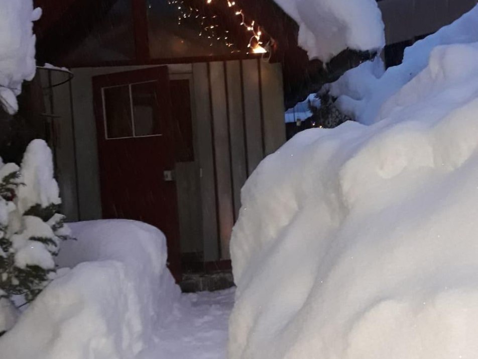 Sauna hut in the garden