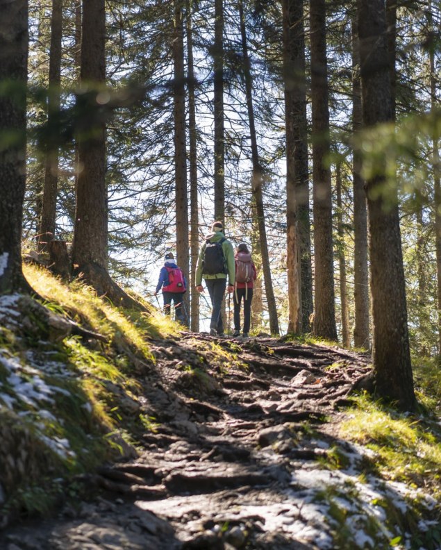 Ob Waldsteig, Gipfelgrat oder flache Wege - in der Alpenwelt Karwendel ist für jeden Naturfan was dabei!, © Alpenwelt Karwendel | Dietmar Denger Ob Waldsteig, Gipfelgrat oder flache Wege - in der Alpenwelt Karwendel ist für jeden Naturfan was dabei!, © Alpenwelt Karwendel | Dietmar Denger