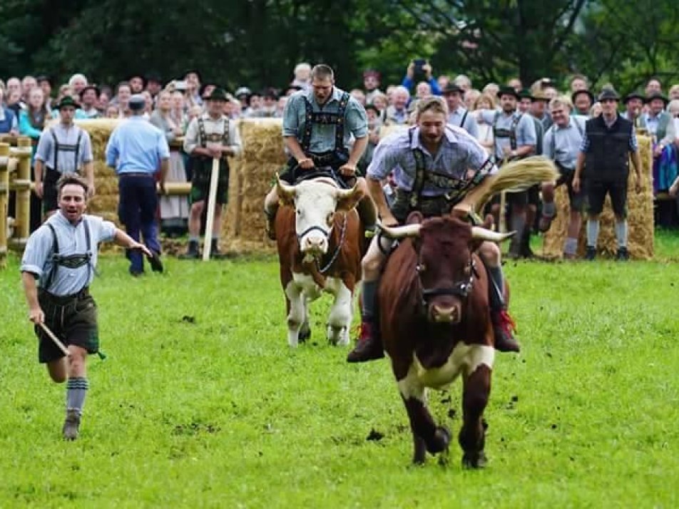 2. Wallgauer Ochsenrennen, © 2020 Freiwillige Feuerwehr Wallgau e. V.