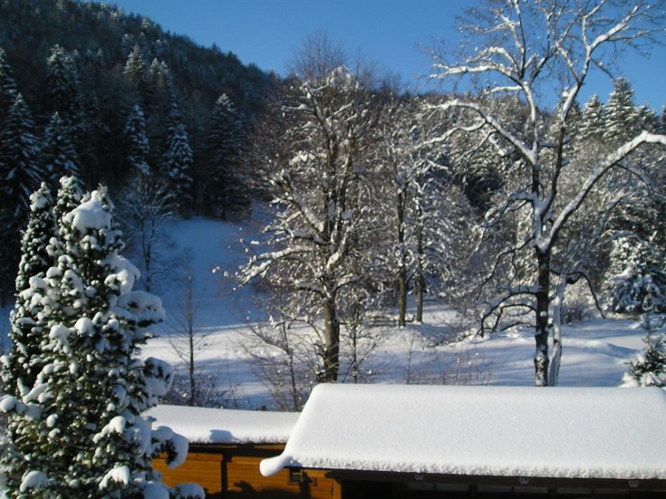 Blick zum Kurpark (Balkon, Wohnung zweite Etage)