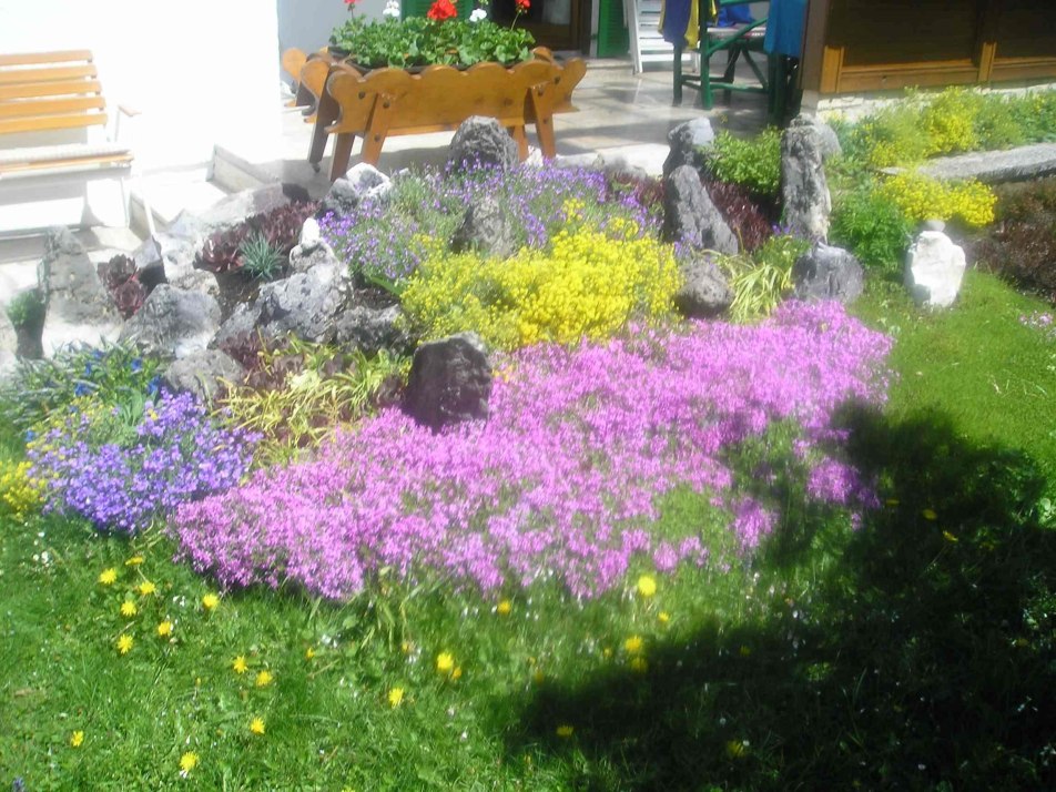 Blumenbeet im Garten, Frühling