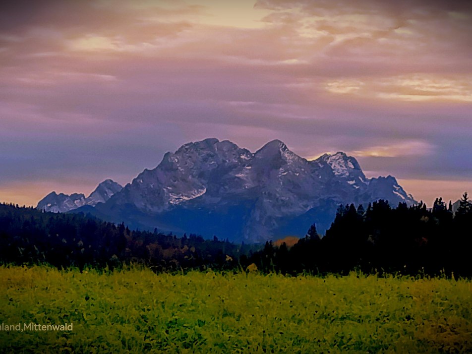 IMG_20251020_065642 IMG_20251020_065642