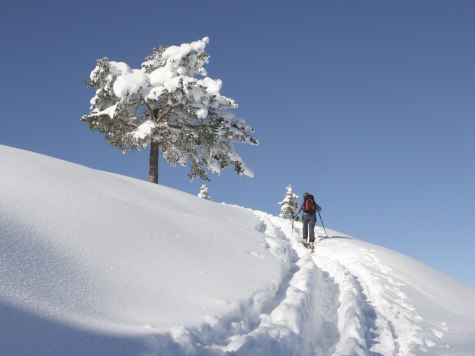 Skitour durch die verschneite Winterlandschaft der Alpenwelt Karwendel, © Alpenwelt Karwendel | Bergschule Alpenwelt Karwendel
