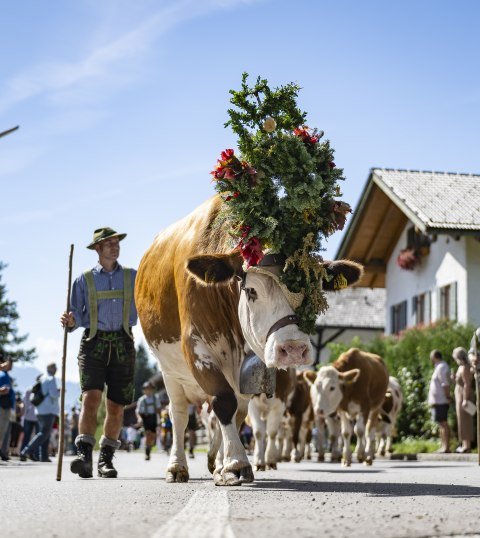 Almabtrieb mit Dorffest und Bauernmarkt in Krün, © Alpenwelt Karwendel / Pierre Johne