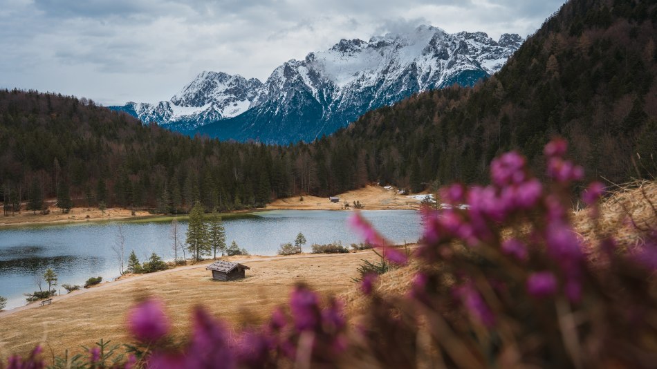 Am_Ferchensee_8567.jpg, © Alpenwelt Karwendel | Danilo Krauspe