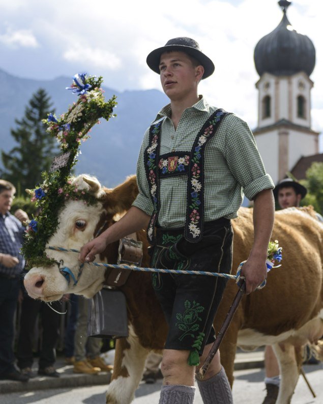 Jeden Herbst gibt es in Krün, Mittenwald und Wallgau verschiedene Viehscheid und Almabtriebe von Rindern, Ziegen und Schafen.  , © Alpenwelt Karwendel | Zugspitz Region