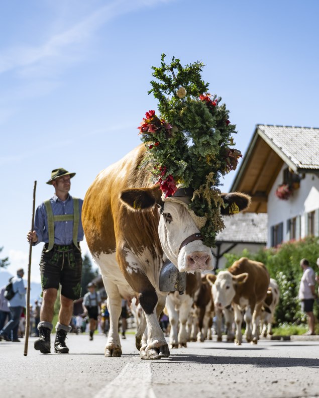 Almabtrieb mit Dorffest und Bauernmarkt in Krün, © Alpenwelt Karwendel / Pierre Johne Almabtrieb mit Dorffest und Bauernmarkt in Krün, © Alpenwelt Karwendel / Pierre Johne