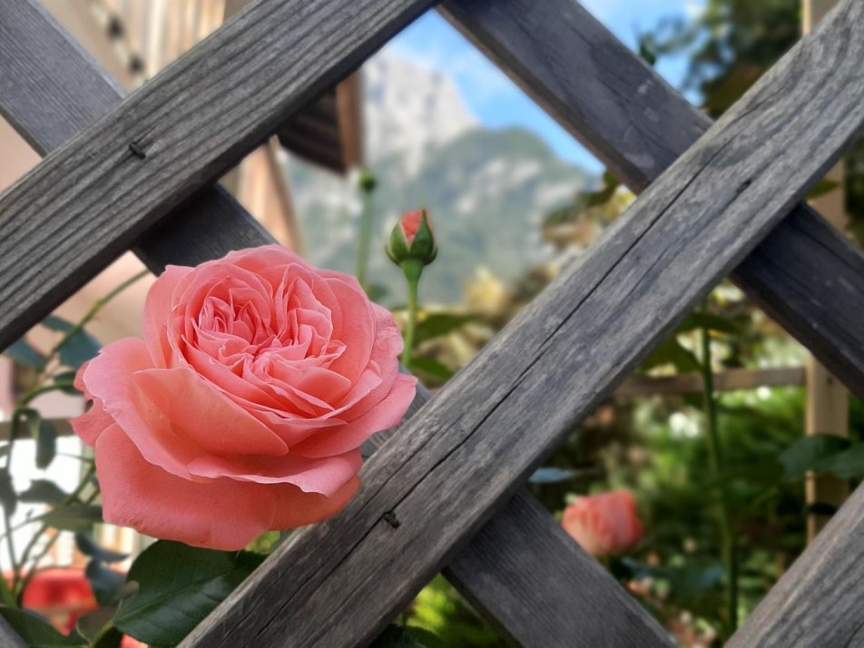 Terrasse mit Bergblick