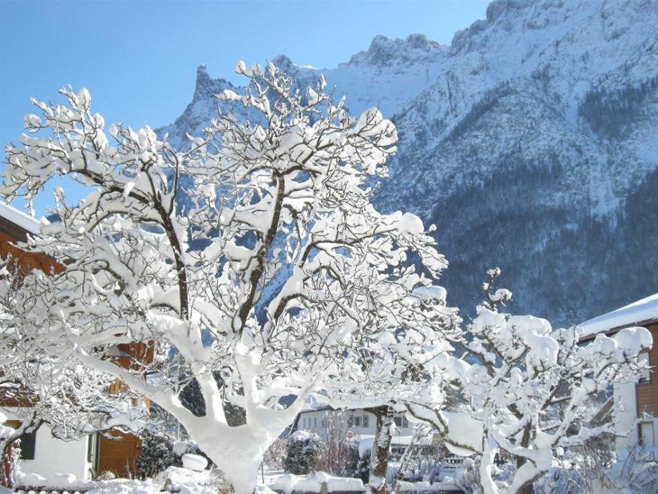 Garten Winter