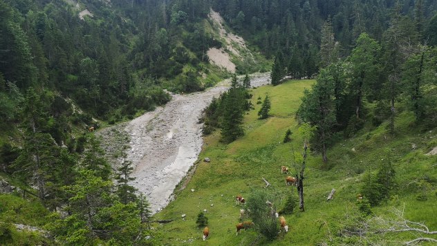 Blick von der Finzalm auf die Finz nahe Krün und Wallgau, © Alpenwelt Karwendel | Andreas Karner