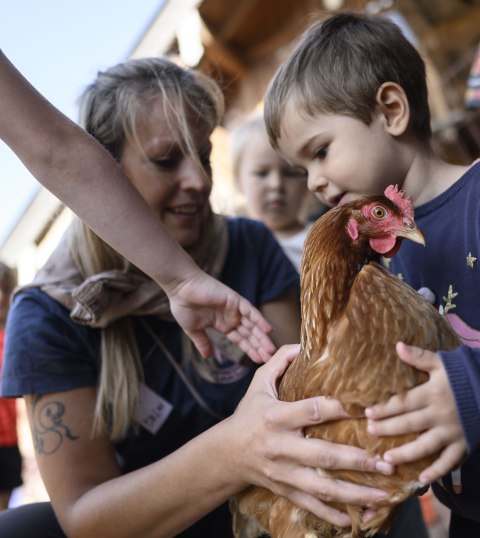 Tierische Erlebnisse beim Kinderprogramm der Alpenwelt Karwendel, © Alpenwelt Karwendel | Philipp Gülland