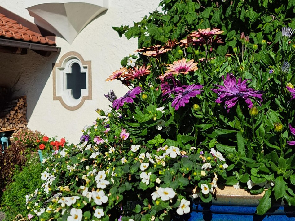 Blumengrüße