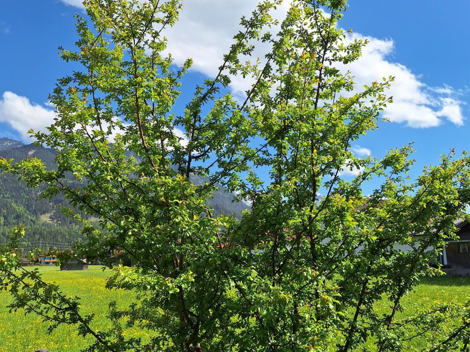 Rund um das Adlernest