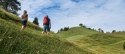 Familienwanderung am Kranzberg, © Alpenwelt Karwendel | Anton Brey