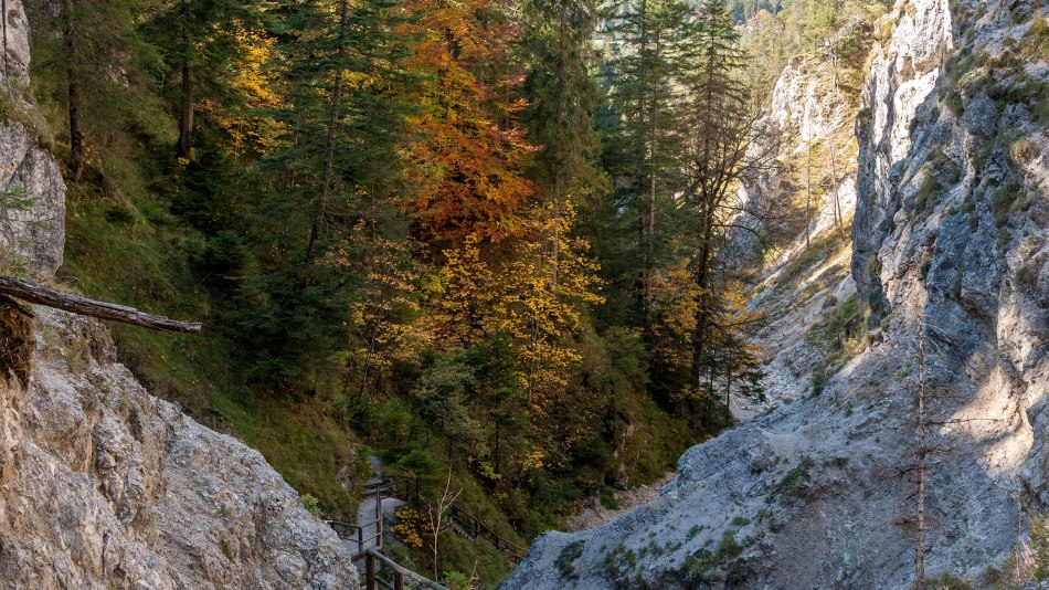 Durch die Hüttlebachklamm, © Alpenwelt Karwendel | bayern.by_Gregor Lengler