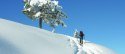 Skitour, © Alpenwelt Karwendel | Bergschule Alpenwelt Karwendel Skitour, © Alpenwelt Karwendel | Bergschule Alpenwelt Karwendel