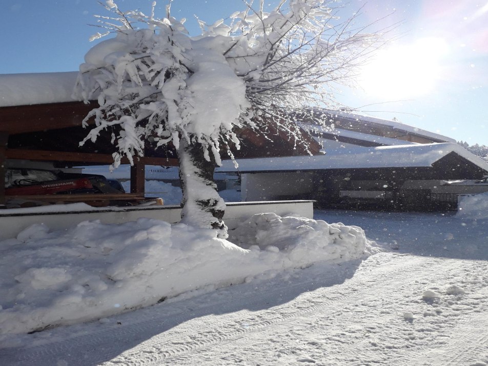 CarportsNeu
