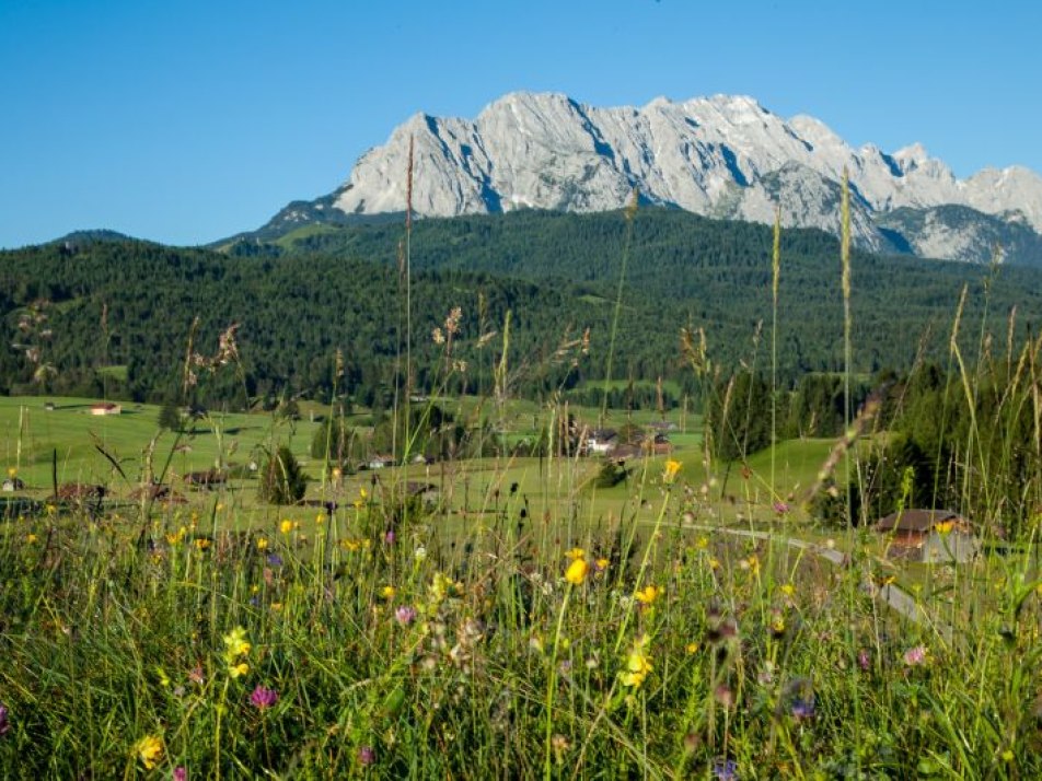 Kräuterwanderung, © Alpenwelt Karwendel | Hubert Hornsteiner