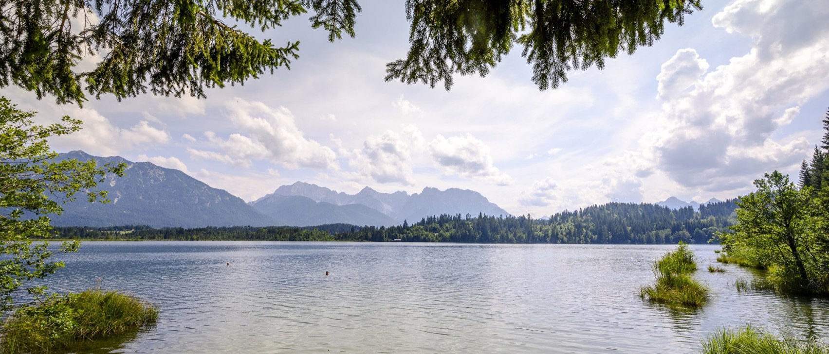 Barmseeufer, © Alpenwelt Karwendel | Gregor Lengler