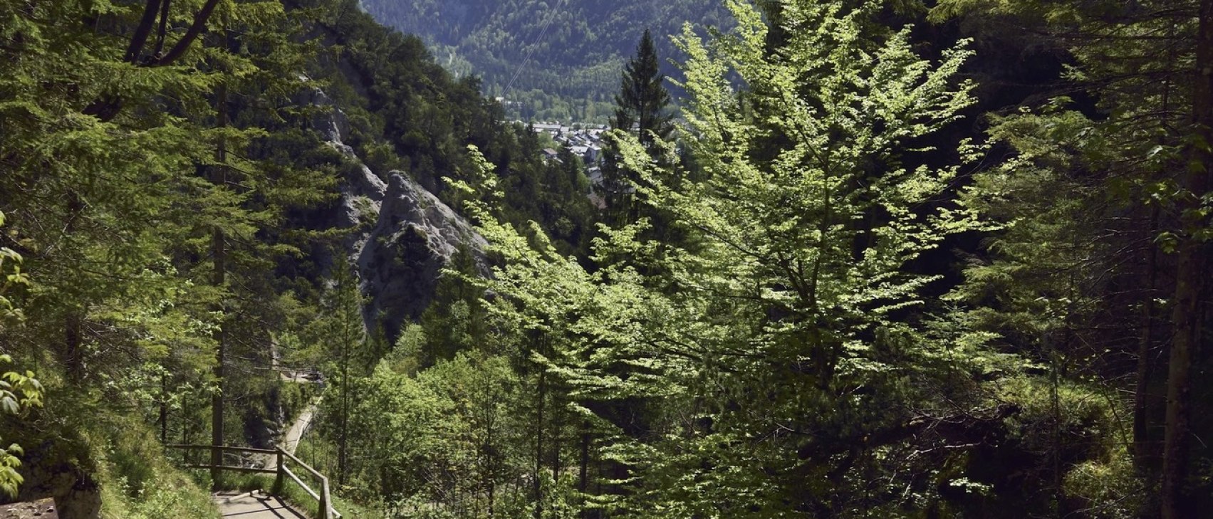 Laintal Mittenwald, © Alpenwelt Karwendel | Stefan Eisend