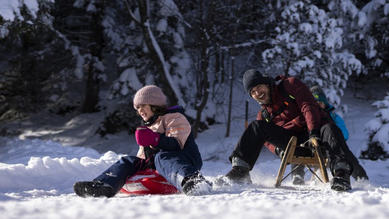 Familenspaß beim Rodeln am Hang vom Kranzberg in Mittenwald - Rodelbahn in Bayerns Bergen, © Alpenwelt Karwendel | kreativ-instinkt.de