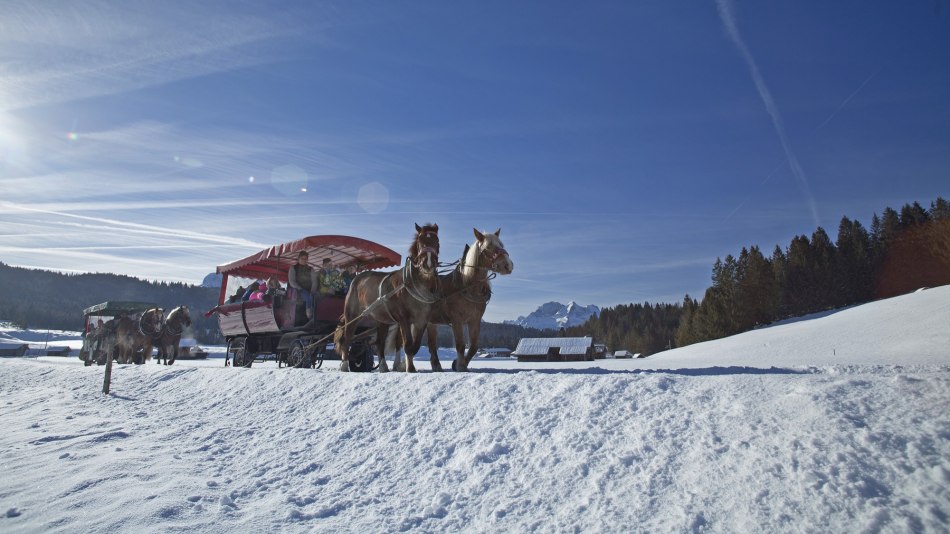 Mit dem Pferdeschlitten über die Buckelwiesen von Mittenwald nach Krün, © Alpenwelt Karwendel | Hubert Hornsteiner