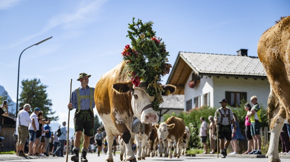Almabtrieb mit Dorffest und Bauernmarkt in Krün, © Alpenwelt Karwendel / Pierre Johne