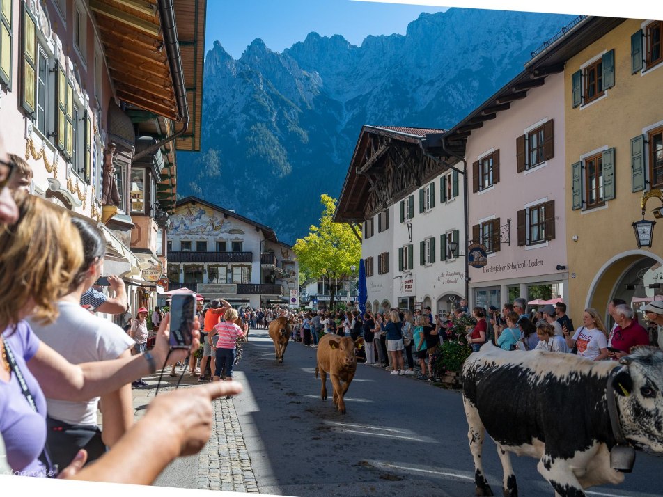 Almabtrieb im September