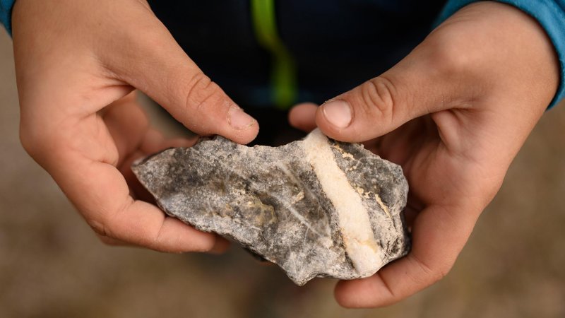 Im Wald findet man allerhand Ineressantes, © Alpenwelt Karwendel | Philipp Gülland