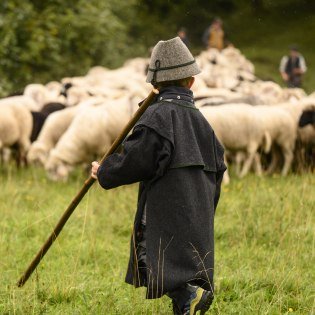 Schafabtrieb 2023 in Mittenwald, © Alpenwelt Karwendel/ Philipp Gülland Schafabtrieb 2023 in Mittenwald, © Alpenwelt Karwendel/ Philipp Gülland