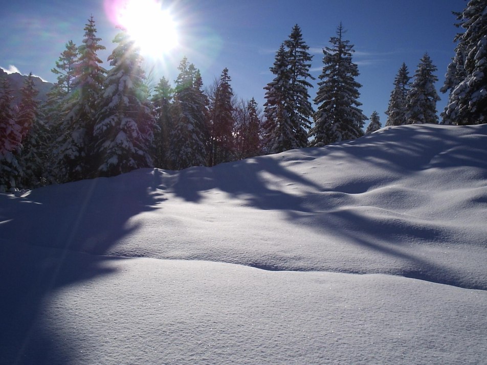 Winterlandschaft